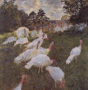 Turkeys Claude Monet